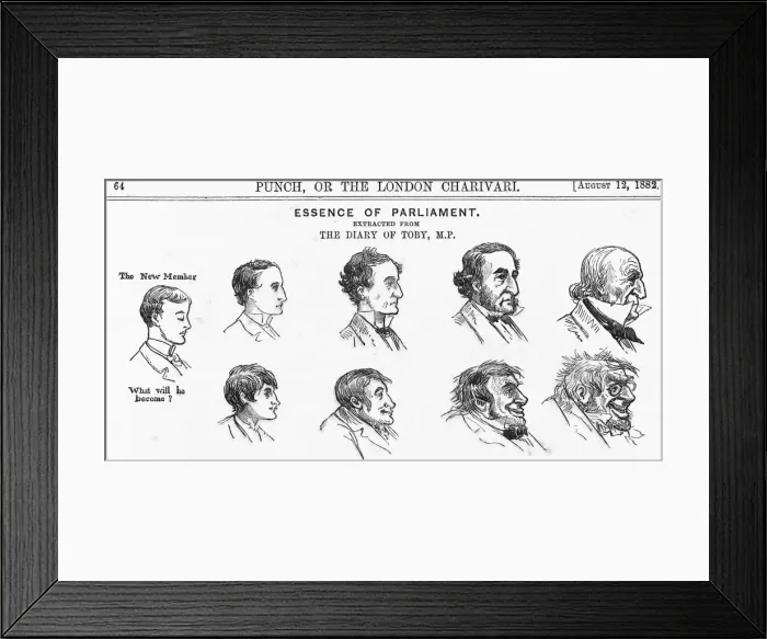 Framed Print : Essence of Parliament, 1882 Framed Print : Essence of Parliament, 1882