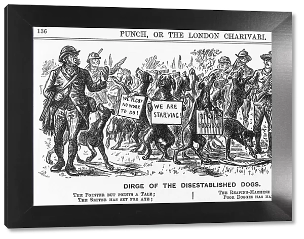 Dirge of the Disestablished Dogs, 1882