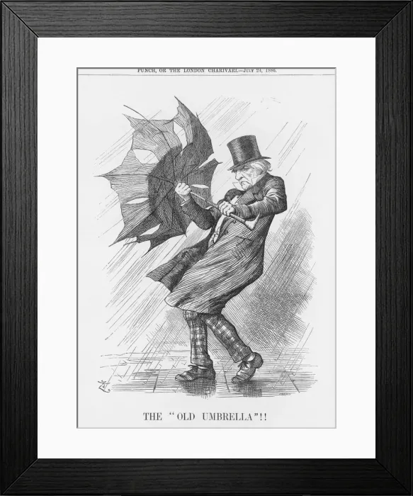 Framed Print : The Old Umbrella!!!, 1886. Artist: Joseph Swain Framed Print : The Old Umbrella!!!, 1886. Artist: Joseph Swain