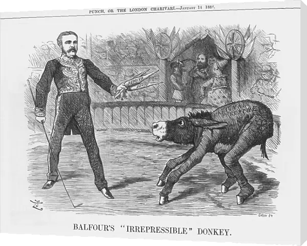 Balfours Irrepressible Donkey, 1888. Artist: Joseph Swain