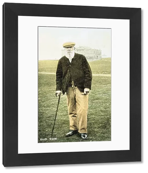 Old Tom Morris, Scottish golfer, postcard, 1900