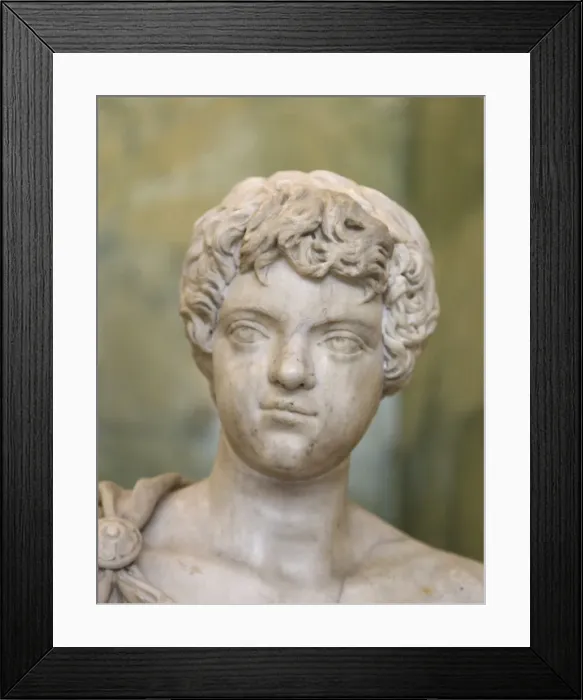 Framed Print : Portrait of the young Caracalla, late 2nd or early 3rd century Framed Print : Portrait of the young Caracalla, late 2nd or early 3rd century