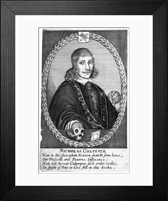 Framed Print : Nicholas Culpepper (1616-54) Framed Print : Nicholas Culpepper (1616-54)