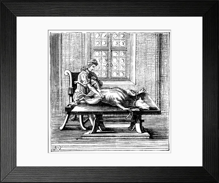 Framed Print : Animal-to-human blood transfusion, 1679 Framed Print : Animal-to-human blood transfusion, 1679