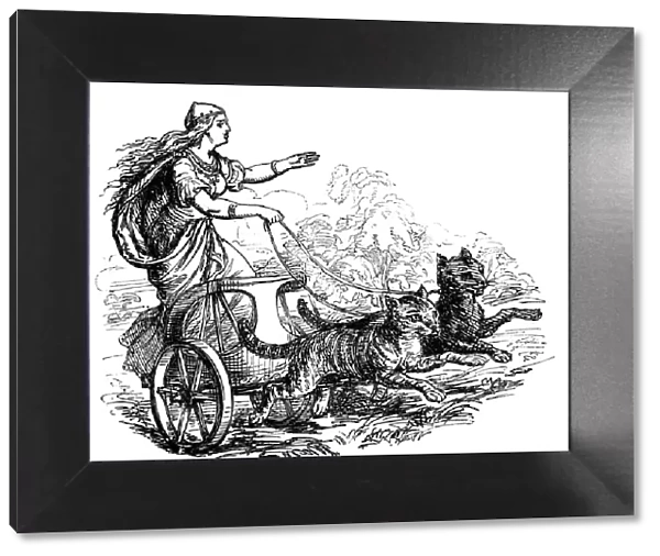 Freya (Frigg) goddess of love in Scandinavian mythology, driving her chariot pulled by cats