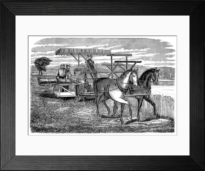 Framed Print : Cyrus McCormicks reaper and binder, 1877 Framed Print : Cyrus McCormicks reaper and binder, 1877