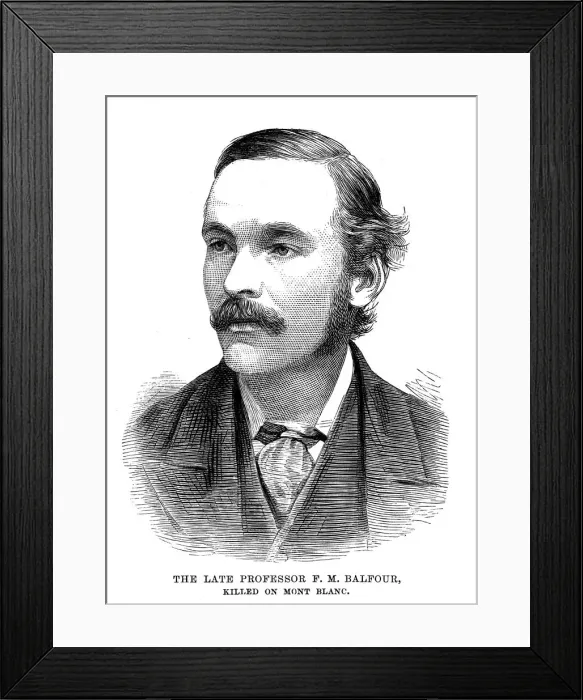 Framed Print : Professor Francis Maitland Balfour (1851-1882), Scottish embryologist, 1882