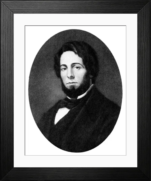 Framed Print : Herman Melville, American author, 19th century Framed Print : Herman Melville, American author, 19th century