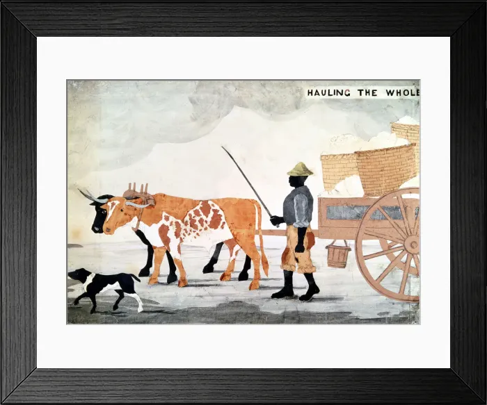 Framed Print : A slave with an ox-cart containing the weeks cotton pickings, New Orleans, USA Framed Print : A slave with an ox-cart containing the weeks cotton pickings, New Orleans, USA