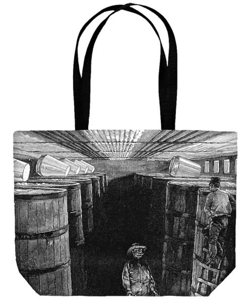 Fermenting cellar in an American brewery, 1885