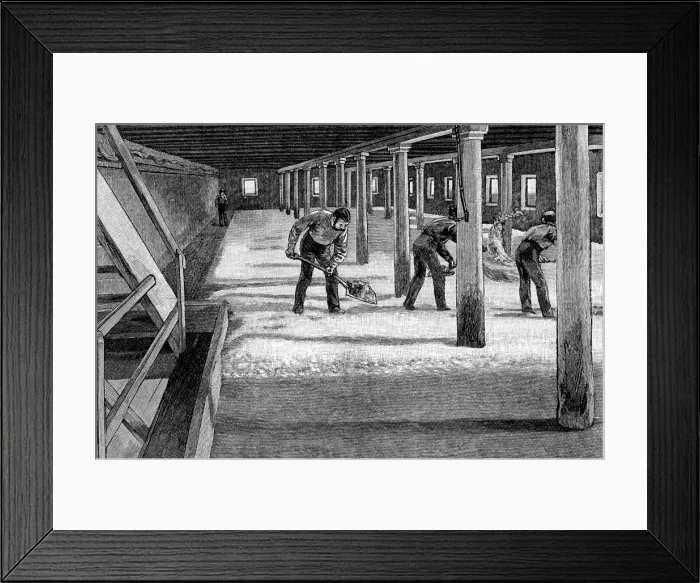 Framed Print : Malting floor in an American brewery, 1885