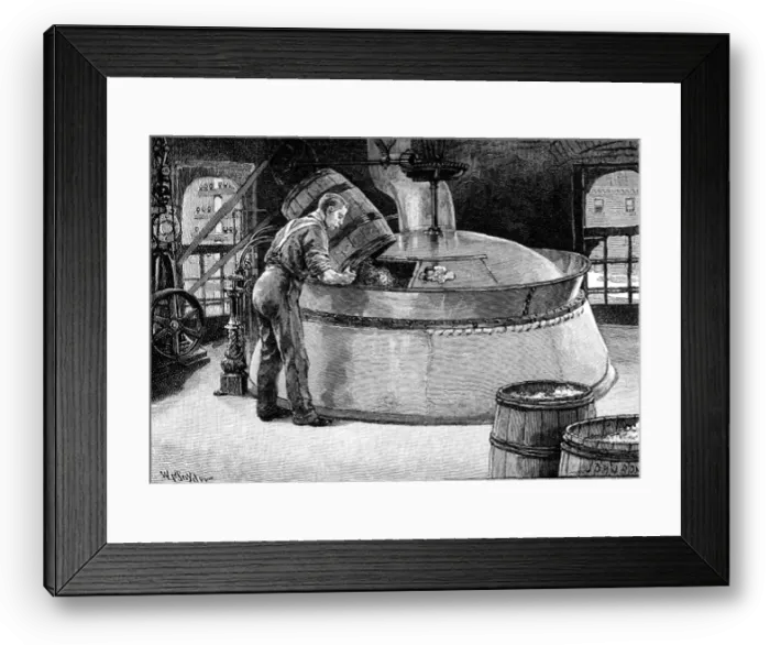 Framed Print : Adding hops to boiling beer in an American brewery, 1885 Framed Print : Adding hops to boiling beer in an American brewery, 1885