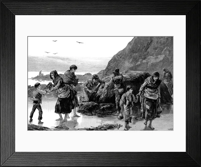 Framed Print : Aftermath of famine, Ireland (1840s), 1886 Framed Print : Aftermath of famine, Ireland (1840s), 1886