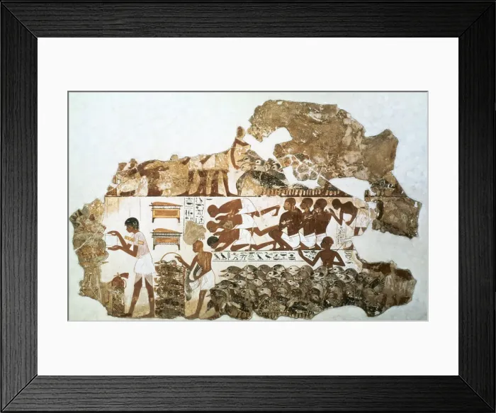Framed Print : Counting the geese: fragment of wall painting from the tomb of Nebamun, Thebes, Egypt, c1350 BC Framed Print : Counting the geese: fragment of wall painting from the tomb of Nebamun, Thebes, Egypt, c1350 BC
