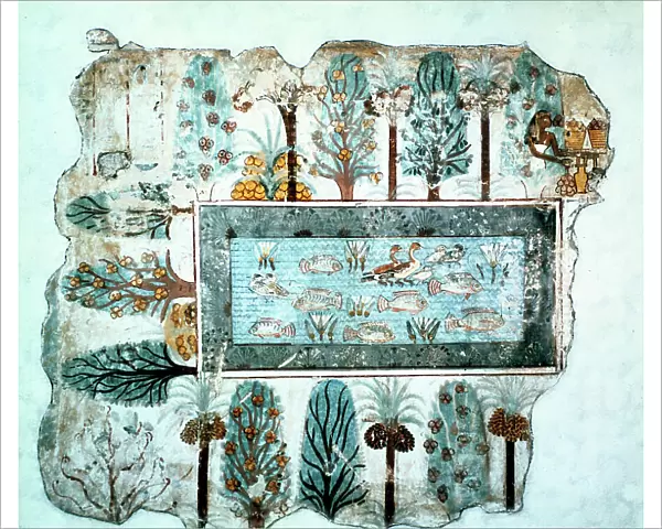 A garden pool: fragment of wall painting, Egyptian, 18th Dynasty, c1350 BC