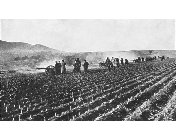 Russian field artillery in the millet field, Russo-Japanese War, 1904-5