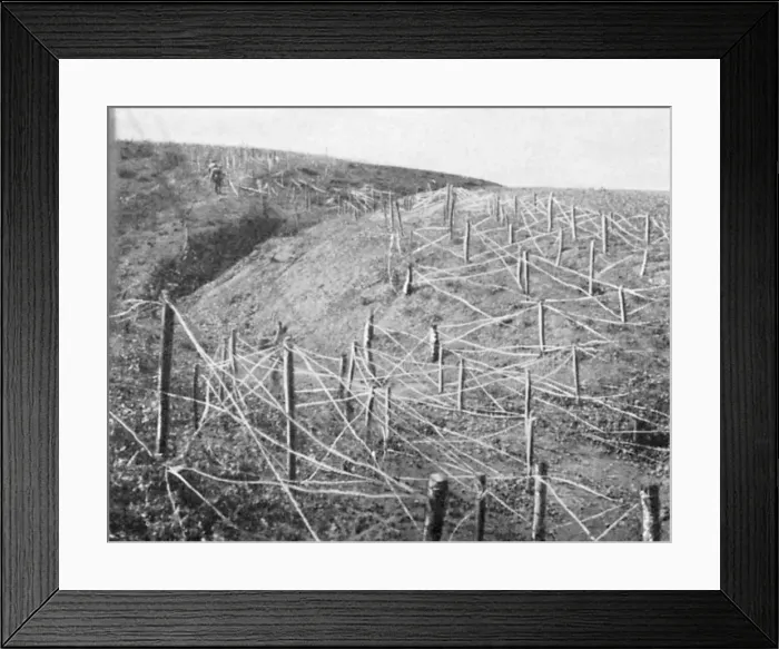 Framed Print : Russian barbed wire entanglements, Russo-Japanese War, 1904-5 Framed Print : Russian barbed wire entanglements, Russo-Japanese War, 1904-5
