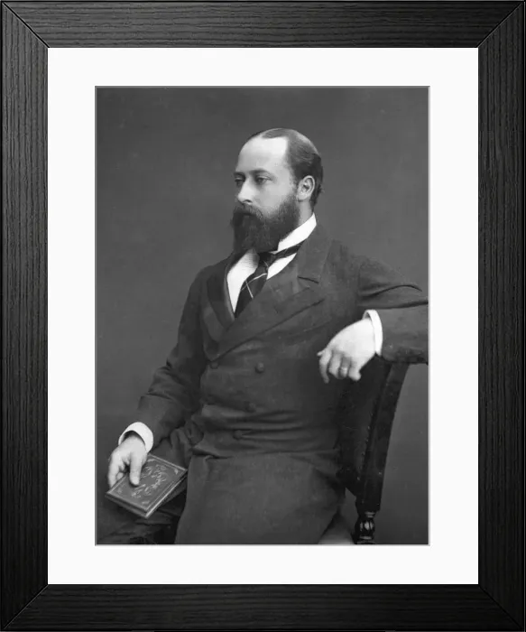 Framed Print : Edward VII (then Prince of Wales), 1876 Framed Print : Edward VII (then Prince of Wales), 1876