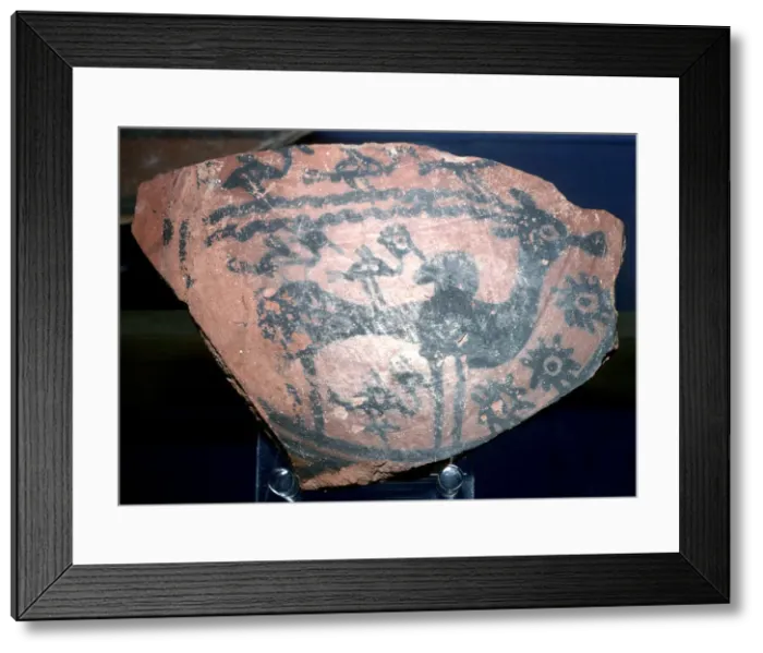 Framed Print : A sherd of pottery with humped bull and birds, Indus Valley, Harappa, c2600 BC Framed Print : A sherd of pottery with humped bull and birds, Indus Valley, Harappa, c2600 BC