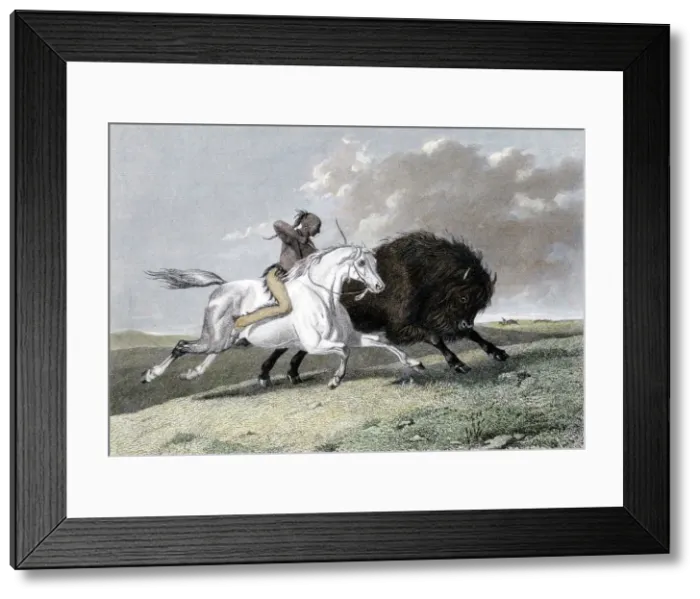 Framed Print : North American Indian hunting buffalo, 1861 Framed Print : North American Indian hunting buffalo, 1861