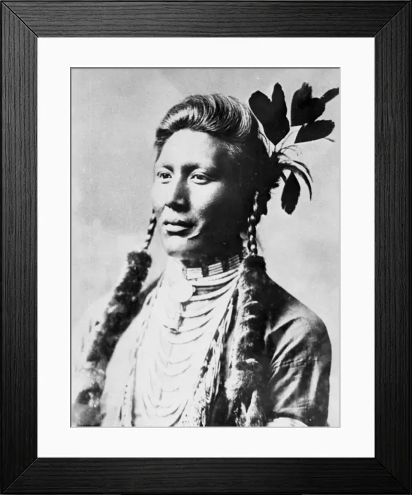 Framed Print : Yellow Dog, North American Indian, c1885-90 Framed Print : Yellow Dog, North American Indian, c1885-90