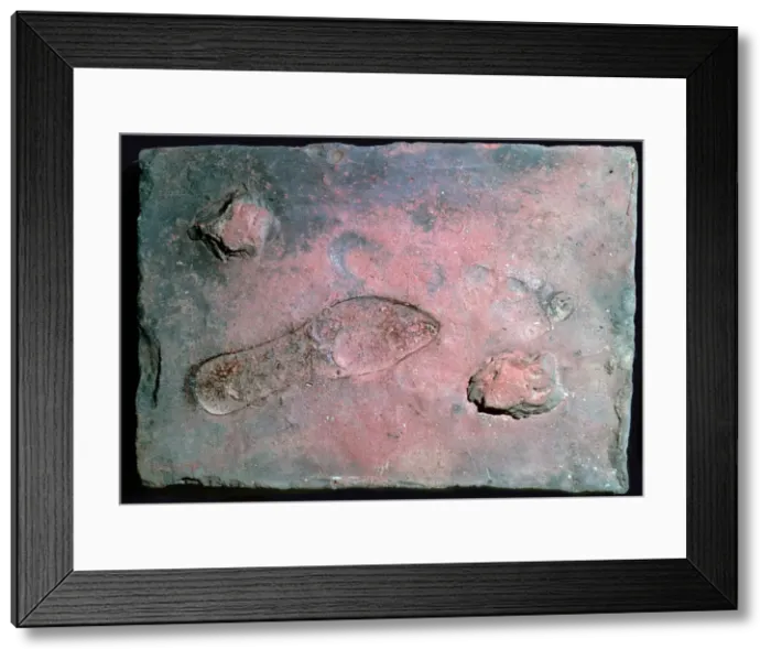 Framed Print : Roman tile with a mans footprint, 1st century