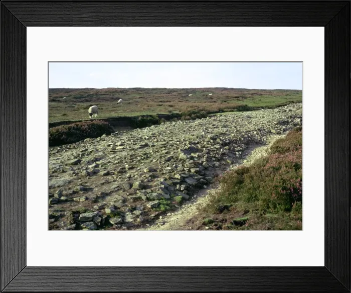 Framed Print : Roman road on Wheeldale Moor Framed Print : Roman road on Wheeldale Moor