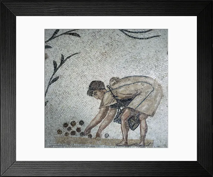 Framed Print : Detail of a Roman mosaic showing fruit-gathering, 2nd century Framed Print : Detail of a Roman mosaic showing fruit-gathering, 2nd century