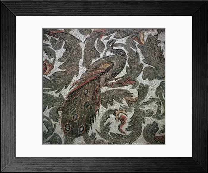 Framed Print : Roman mosaic of a peacock in foliage, 3rd century Framed Print : Roman mosaic of a peacock in foliage, 3rd century