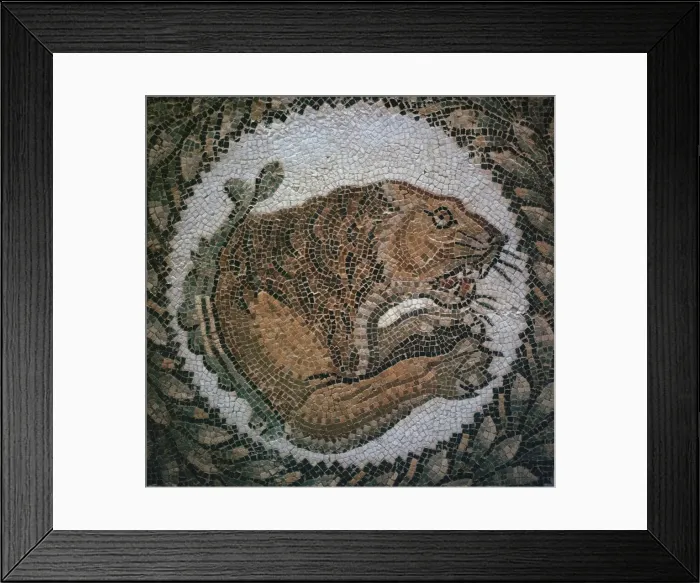 Framed Print : Detail of a Roman mosaic showing the head of a lion, 4th century Framed Print : Detail of a Roman mosaic showing the head of a lion, 4th century