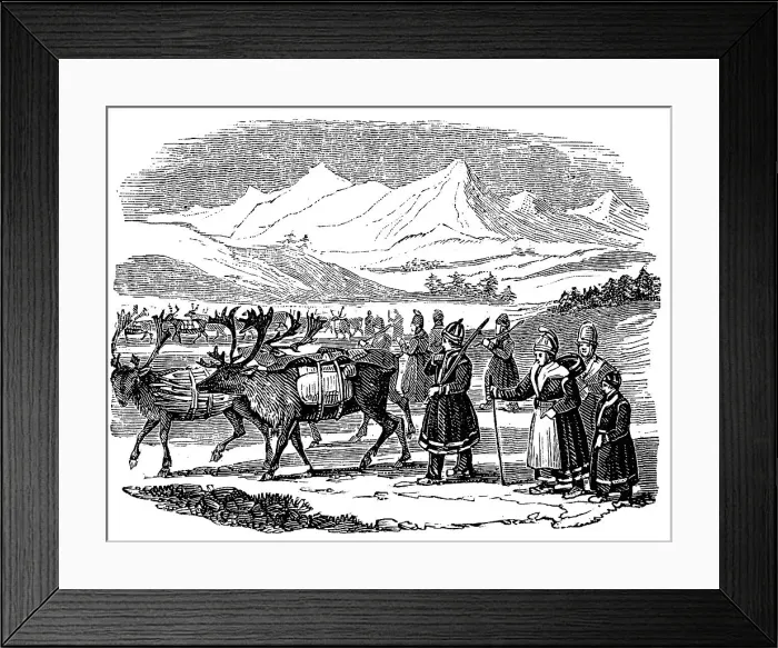 Framed Print : Lapps setting out on a migration with reindeer, Lapland, 1840 Framed Print : Lapps setting out on a migration with reindeer, Lapland, 1840