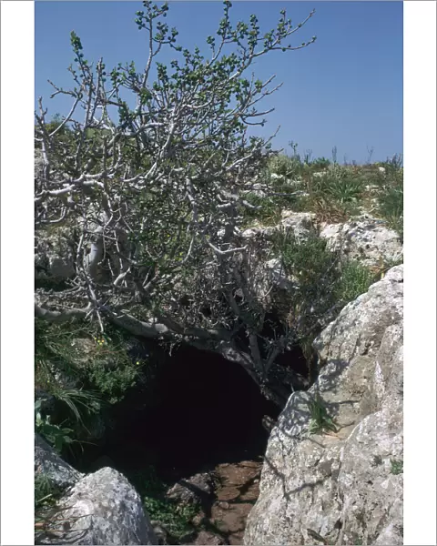 The Cave of Eileithyia