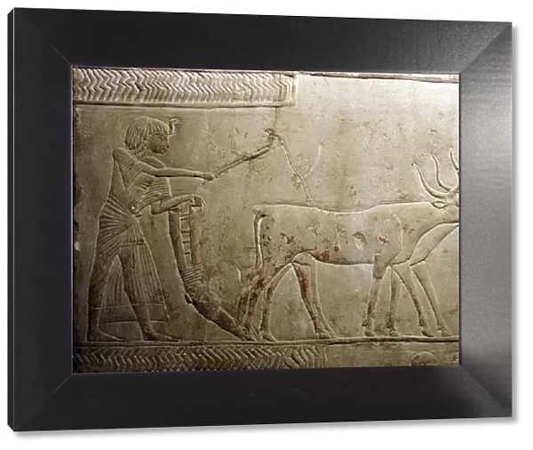 Ploughing from an Egyptian Stele, 18th Dynasty, 1332BC-1323 BC