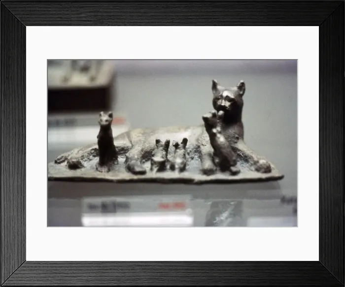 Framed Print : Cat and Kittens Framed Print : Cat and Kittens