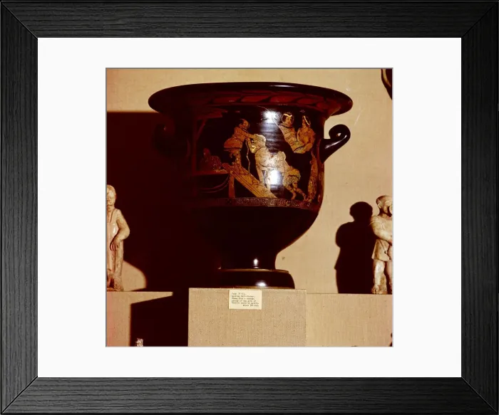 Framed Print : Comedy scene, Apollo cures Cheiron Krater, 380 BC Framed Print : Comedy scene, Apollo cures Cheiron Krater, 380 BC