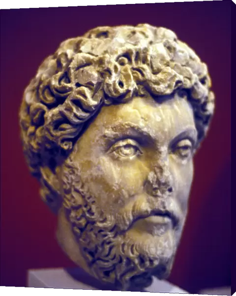 Hadrian (76-138), Roman marble bust