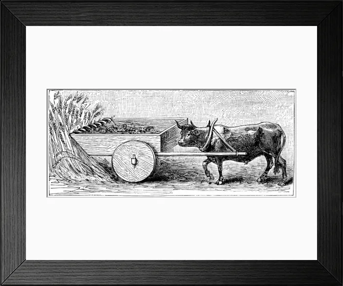 Framed Print : Reconstruction of reaping machine used in Gaul in Ancient Roman times, as described by Pliny, c1890 Framed Print : Reconstruction of reaping machine used in Gaul in Ancient Roman times, as described by Pliny, c1890