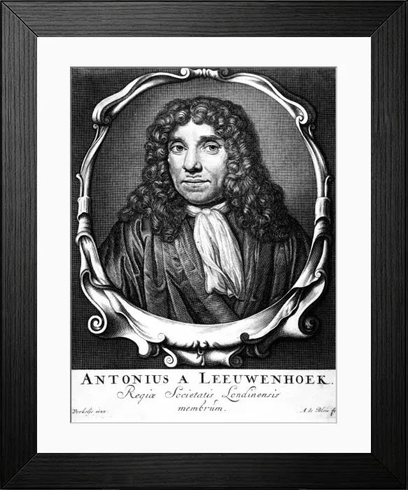 Framed Print : Anton van Leeuwenhoek, Dutch pioneer of microscopy, 1723. Artist: Abraham de Blois