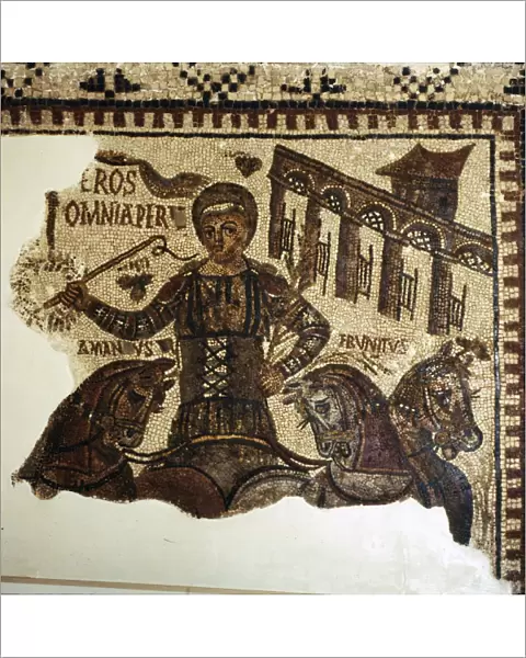 Roman Mosaic, Charioteer (Eros), c2nd-3rd century