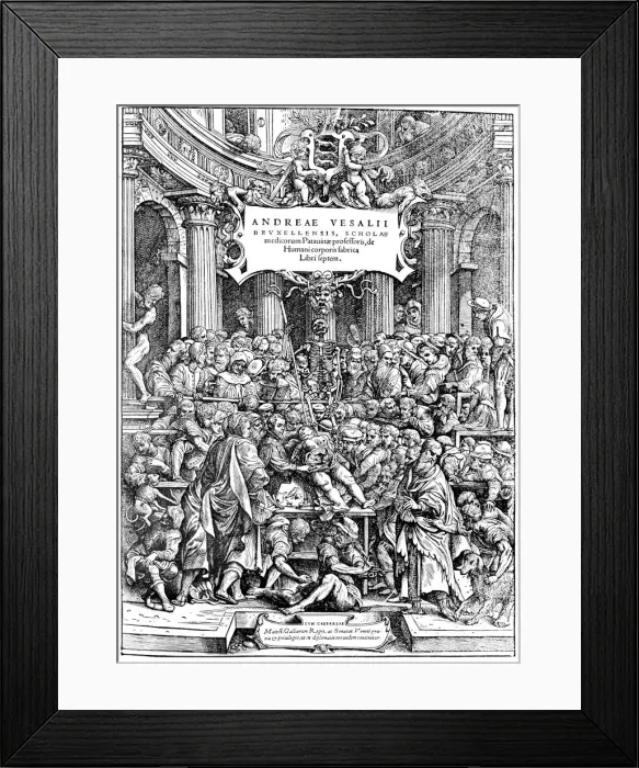 Framed Print : Title page of Andreas Vesalius De Humani Corporis Fabrica, showing Vesalius dissecting body, 1543. Artist: Andreas Vesalius Framed Print : Title page of Andreas Vesalius De Humani Corporis Fabrica, showing Vesalius dissecting body, 1543. Artist: Andreas Vesalius