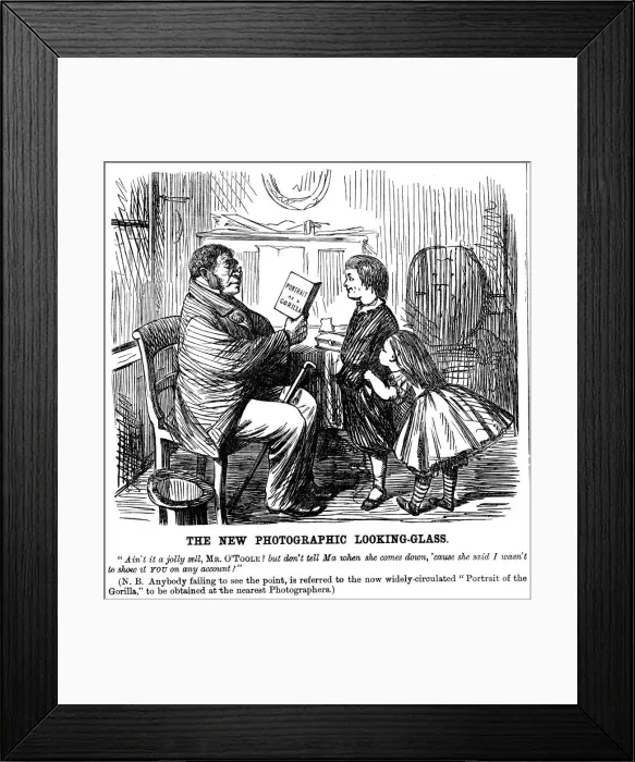 Framed Print : The New Photographic Looking Glass, cartoon from Punch, everyday proof of mans origins, 1861 Framed Print : The New Photographic Looking Glass, cartoon from Punch, everyday proof of mans origins, 1861