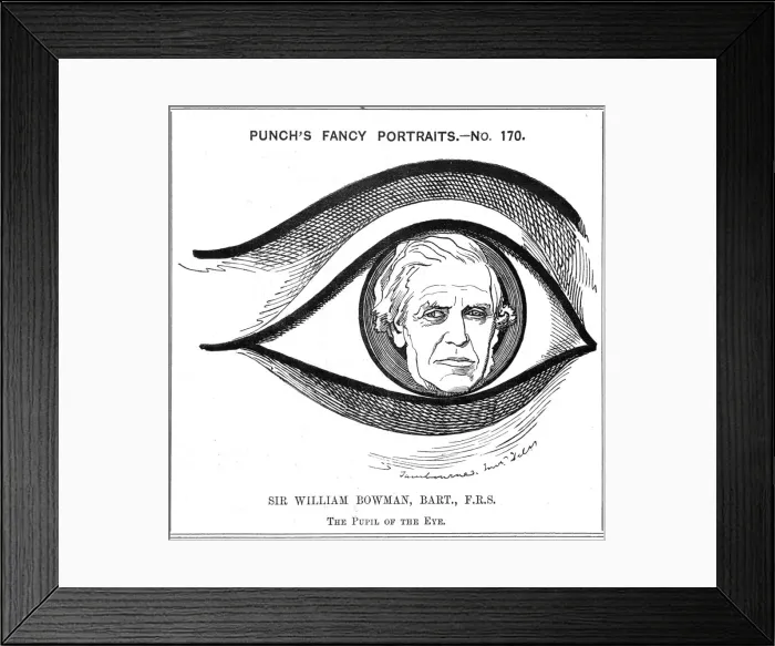 Framed Print : William Bowman, English anatomist, surgeon and ophthalmologist, 1884. Artist: Edward Linley Sambourne Framed Print : William Bowman, English anatomist, surgeon and ophthalmologist, 1884. Artist: Edward Linley Sambourne