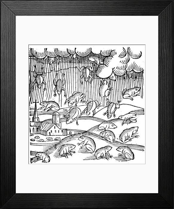 Framed Print : Rain of frogs recorded in 1355 (1557) Framed Print : Rain of frogs recorded in 1355 (1557)