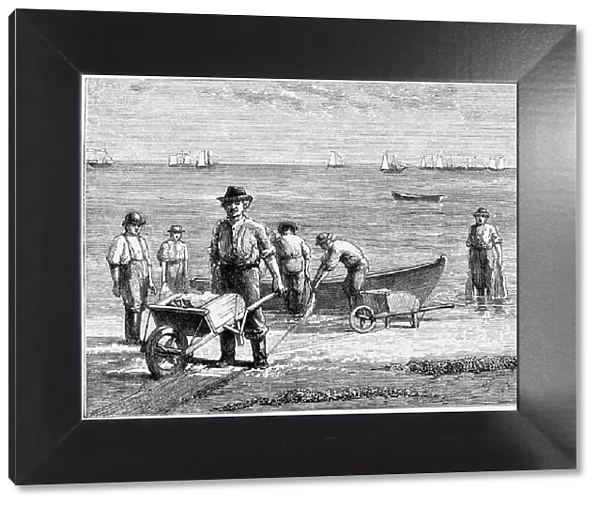Cape Cod fisherman washing fish, 1875