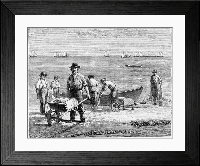 Framed Print : Cape Cod fisherman washing fish, 1875 Framed Print : Cape Cod fisherman washing fish, 1875