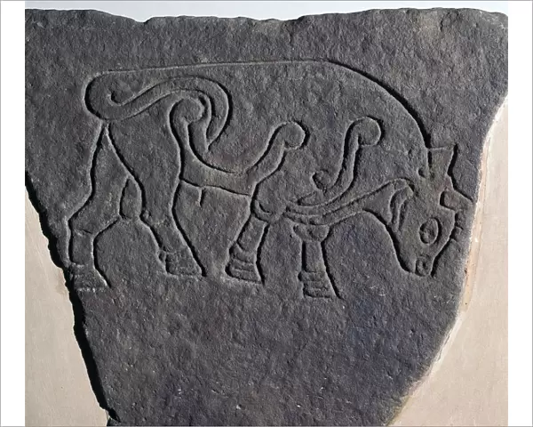 Pictish incised stone with a bull motif, 6th century