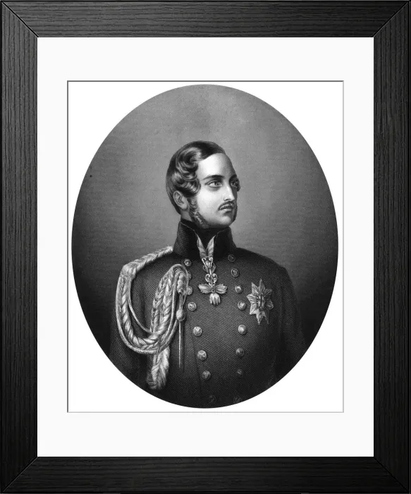 Framed Print : Albert (1819-1861), Prince Consort of Queen Victoria, 1851 Framed Print : Albert (1819-1861), Prince Consort of Queen Victoria, 1851