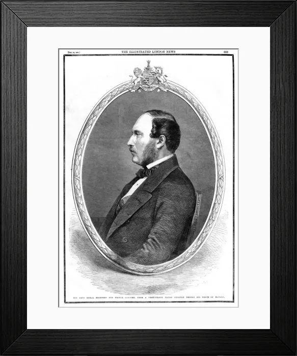Framed Print : Death of Albert, Prince Consort, 1861 Framed Print : Death of Albert, Prince Consort, 1861