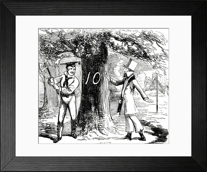 Framed Print : Albert (1819-1861), Prince Consort of Queen Victoria, 1850 Framed Print : Albert (1819-1861), Prince Consort of Queen Victoria, 1850