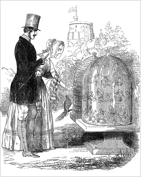 Albert, Prince Consort, showing his hives to Queen Victoria